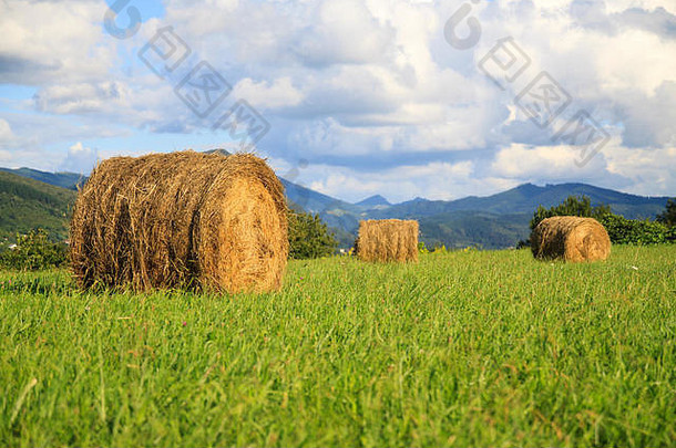 阳光明媚的日子里一捆稻草和绿草。