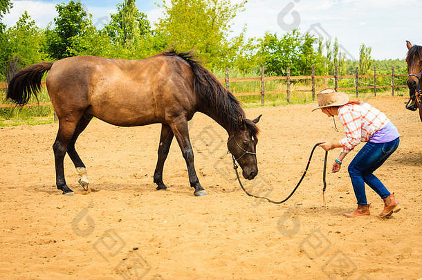 爱护动物，爱和友谊的理念。身穿格子衬衫、头戴牛仔帽的女牛仔牵着一匹棕色的马