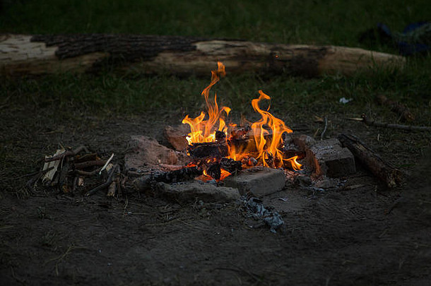 森林中林间空地上篝火的照片