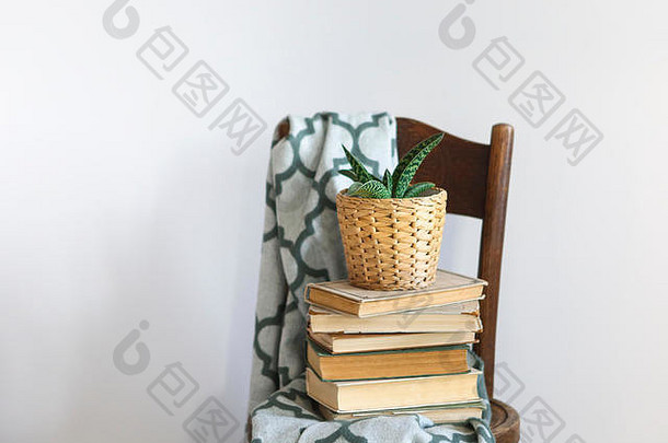 卧室内部用绿色格子布、书籍和椅子上的植物进行特写。家居室内复古装饰
