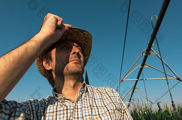 有关农民玉米田灌溉系统操作温暖的夏天一天