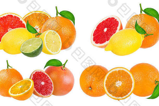白色背景上分离的柑橘类水果套装（橙色、葡萄柚、酸橙、柠檬）。