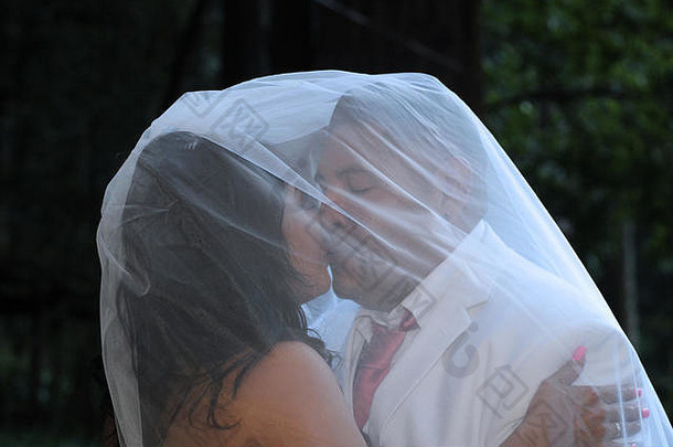 婚礼图片新婚夫妇接吻新娘面纱