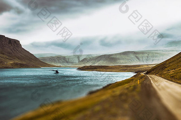 冰岛古老的魔法大气故事完整的精灵巨魔fairy-whale-tale叙述