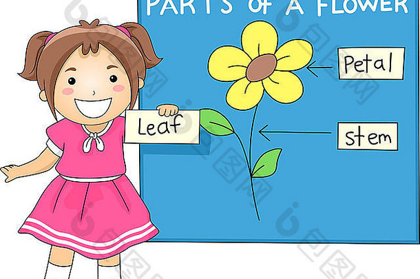 一个女孩识别花的部分的插图