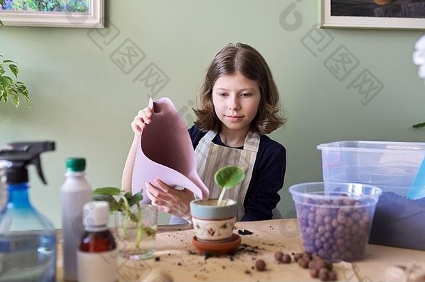 女孩在花盆里种下一株幼苗的叶子