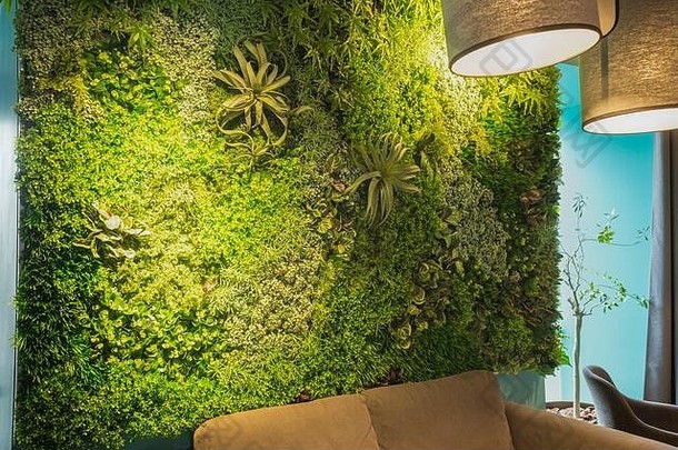 现代咖啡馆内部覆盖绿色植物、绿色墙壁