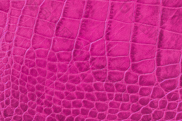 纹理粉红色的紫色的真正的皮革特写镜头压花尺度爬行动物时尚趋势模式