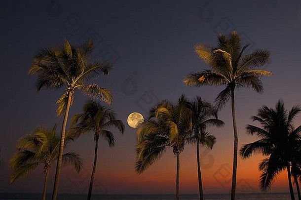 <strong>日</strong>落<strong>月球</strong>表面阿卡普尔科棕榈排太平洋海岸墨西哥状态guerro