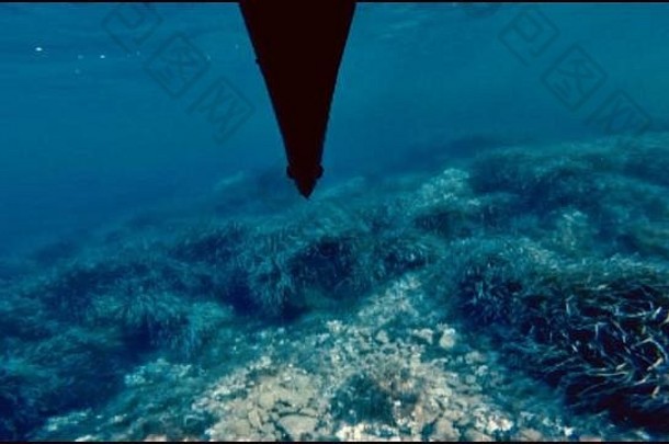 法国地中海的长矛捕<strong>鱼图片</strong>是用长矛在水下拍摄的