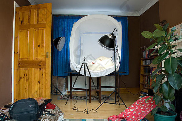 光帐篷摄影工作室工具包前面房间房子植物婴儿摇滚歌手椅子