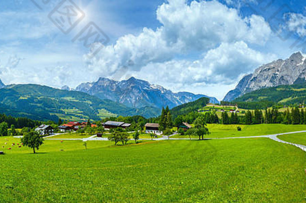 夏天阳光照耀的高山山国家全景长满草的草地路村奥地利