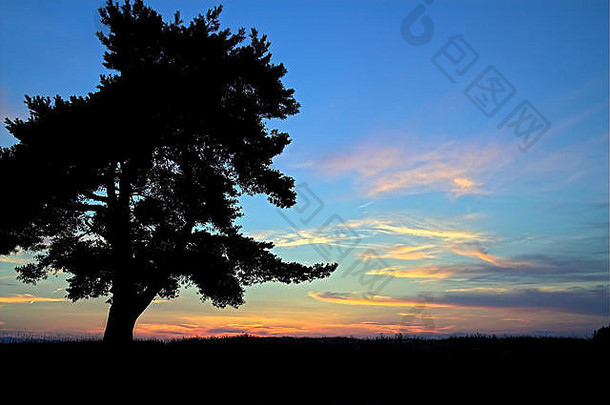 夕阳下一棵树的轮廓。这是一个很好的例子。Zarys drzewa na tle zachodzącego słońca.Drzewo