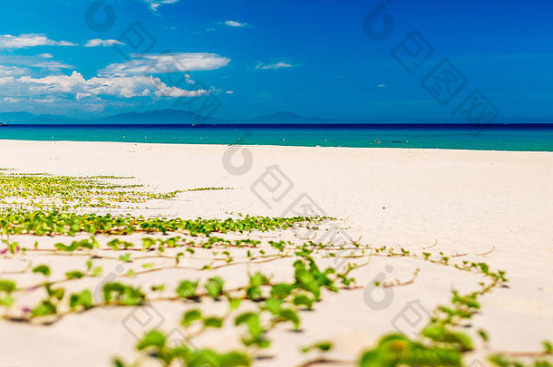 空旷的沙滩，碧海蓝天背景。<strong>暑期旅游</strong>与度假理念。促销文本或徽标的空间
