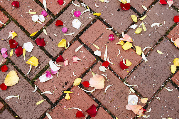 婚礼后地上的玫瑰叶子