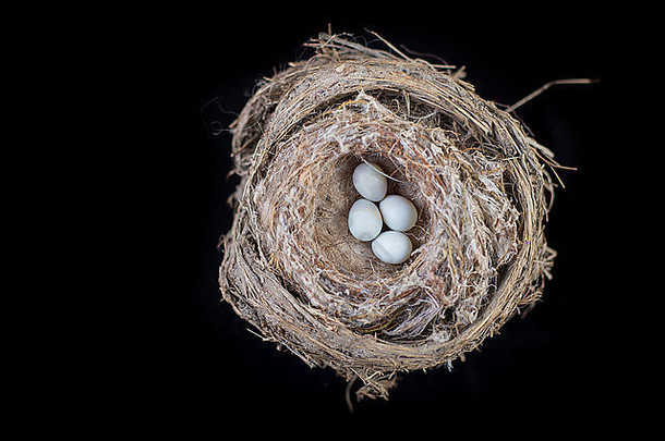 4个小鸟<strong>蛋</strong>在一个巢上，隔离在黑色的屋顶上