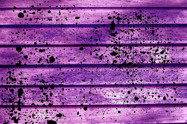 难看的东西超紫色的木板凳上板材纹理网络网站移动设备设计元素