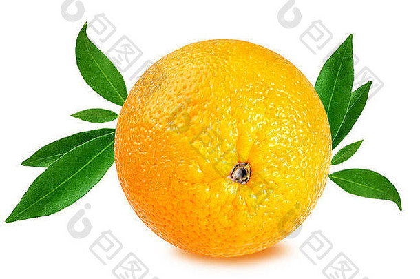 在白色背景上分离的橘子