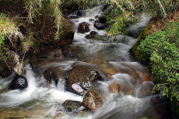 纯清晰的水小河慢<strong>运动</strong>巴里洛切巴塔哥尼亚阿根廷主森林保存地球生态
