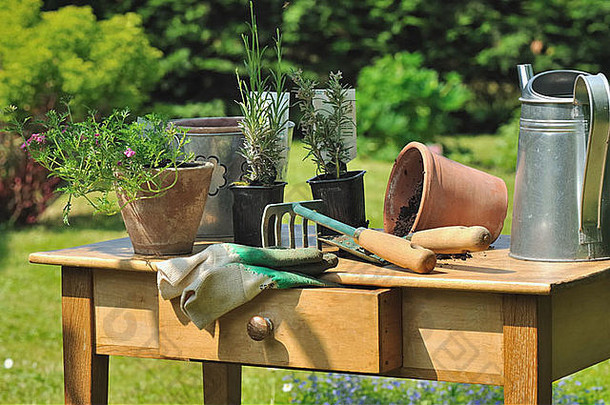 布置在花园木桌上的园艺工具和植物