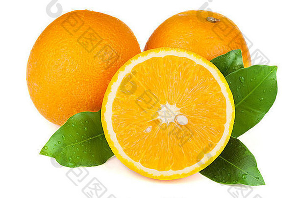 新鲜的多汁的橙子树叶孤立的白色背景