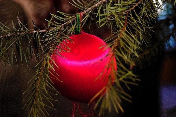 树枝上的红球圣诞装饰品