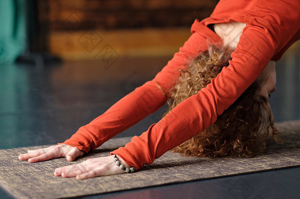 女人练习瑜伽向下面对狗锻炼阿杜穆卡斯瓦纳萨那构成
