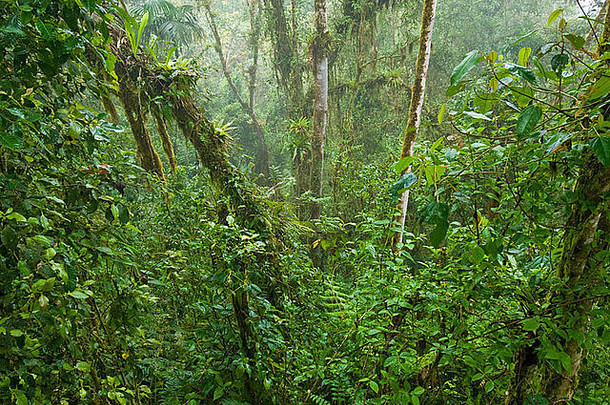 厄瓜多尔北部的云林