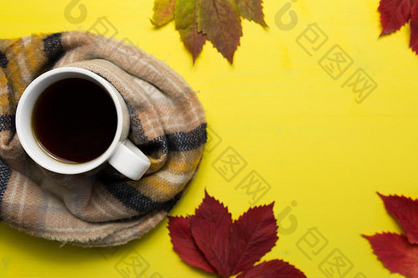 茶围巾色彩斑斓的叶子秋天舒适的概念
