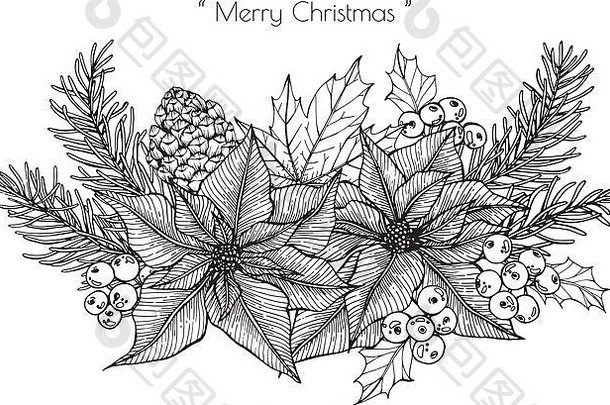 圣诞装饰与花和叶手绘插图。