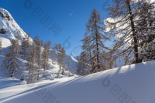 斯洛文尼亚朱利安阿尔卑斯山沃格尔滑雪中心附近的冬季景观