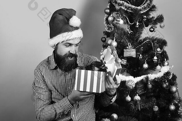 圣诞老人把小狗抱在圣诞树旁。脸上露出惊讶表情的家伙打开蓝色背景的小礼物盒。戴圣诞帽的男人和小狗玩。圣诞宠物概念。