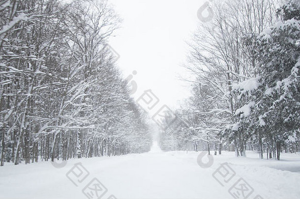 冬季雪路