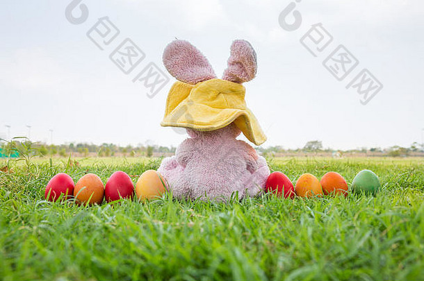 色彩斑斓的复活节鸡蛋兔子穿他绿色草