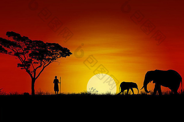 非洲日落大象马赛战士