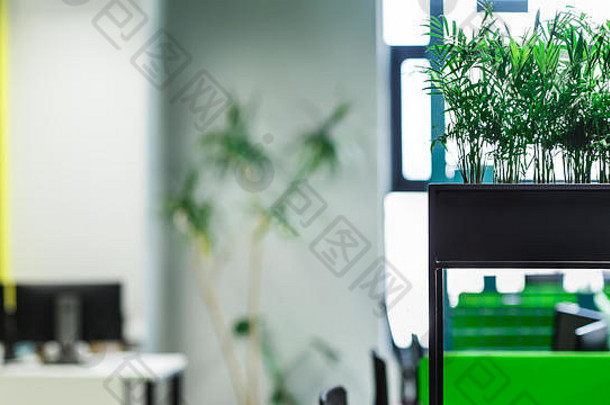 现代自然办公室内，绿色植物和电脑