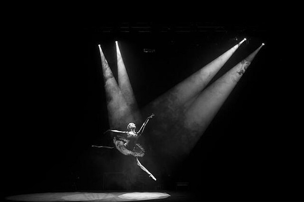 芭蕾舞女演员芭蕾舞舞者跳阶段关注的焦点黑色的白色