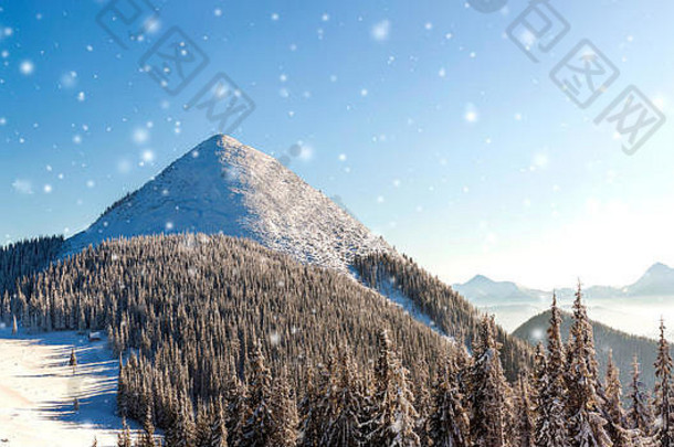 美丽的冬季全景，新鲜的降雪。云杉松树景观，阳光下的蓝天和背景上的喀尔巴阡山脉