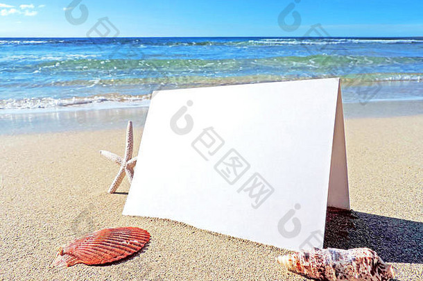 海滩上的空白白卡或贺卡，留有复印空间。有贝壳和海星的暑假或海滩度假场景。节日问候。