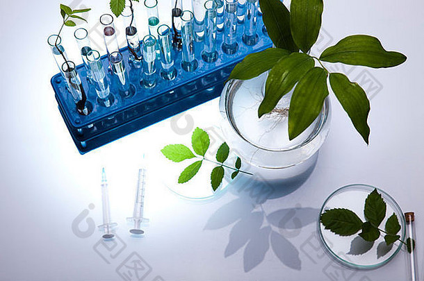 化学设备、<strong>植物</strong>、<strong>实验</strong>室玻璃器皿