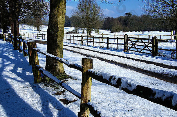 雪覆盖农村景观农村
