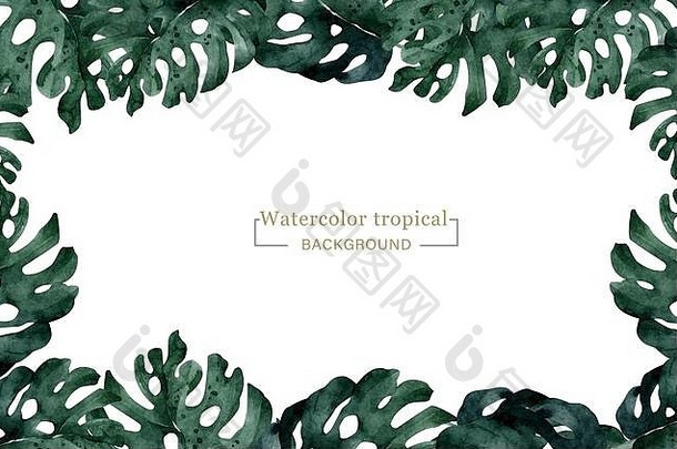 手工绘制的热带水彩横幅，带有丛林叶子。异国情调的叶子插图水平框架，丛林树，巴西时尚。非常适合设计