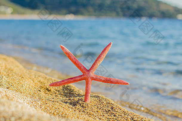 <strong>暑期旅游</strong>度假，<strong>旅游</strong>目的地，沙滩上的海星，