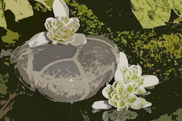 雪花莲双花，苔藓和鹅卵石，静物