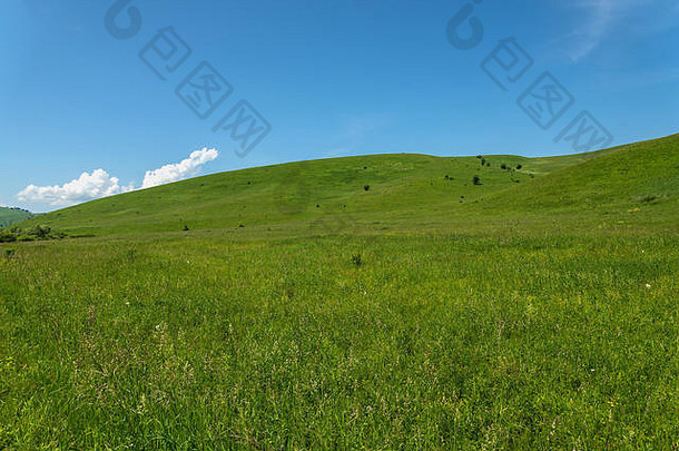 风景优美的的观点绿色山覆盖草花蓝色的天空白色云阳光明媚的一天