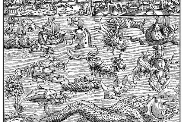 海洋与地球上的海洋怪物和动物，奇妙的中世纪雕刻，1550年