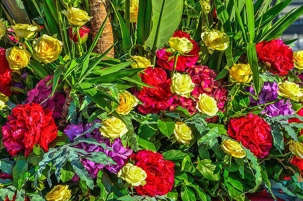 红色牡丹、黄色玫瑰和紫色绣球花，绿叶点缀，色彩鲜艳，喜庆。感受、表达快乐