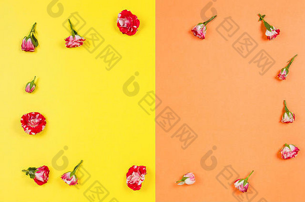 以黄色和橙色为背景的玫瑰花架。平面布置，俯视图。
