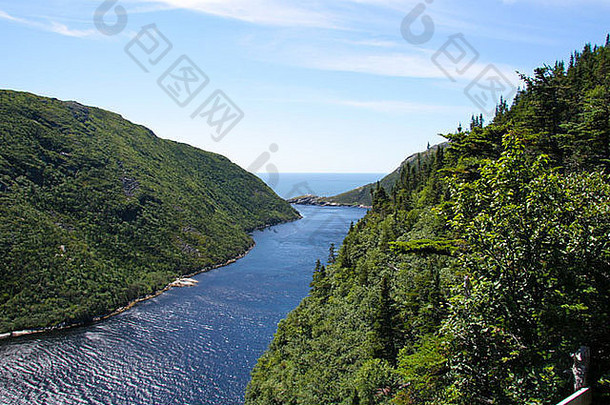 灰色河峡湾纽芬兰的西南海岸连接大西洋