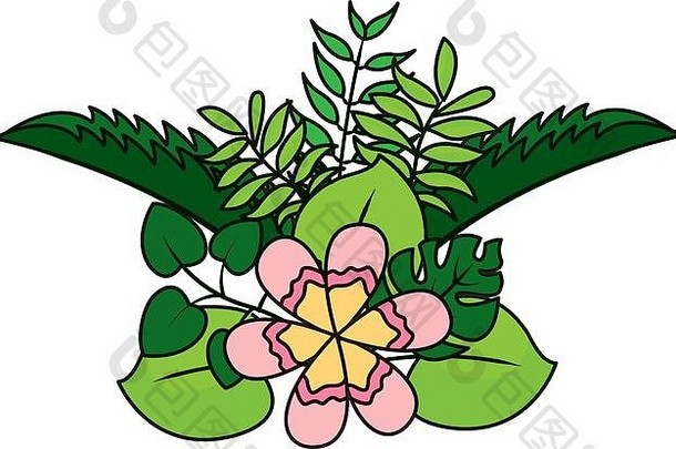 花卉自然装饰插页
